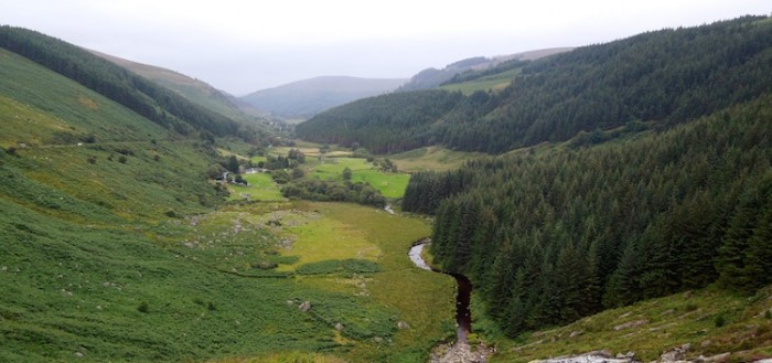 Wicklow