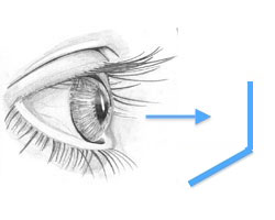 ojo-ds